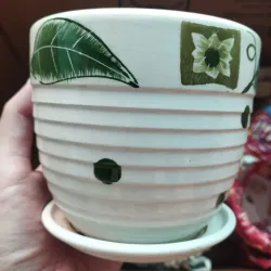 Chậu trồng sen đá 753586