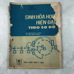 Sinh hoá học hiện đại theo sơ đồ - 1987s