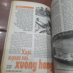 KIẾN THỨC NGÀY NAY số 282 ngày 1.06.1998 593640