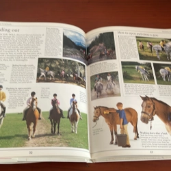 PICTURE BOOK The young rider 534277