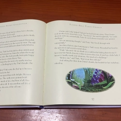 PICTURE BOOK Disney fairies Storybook collection 536429