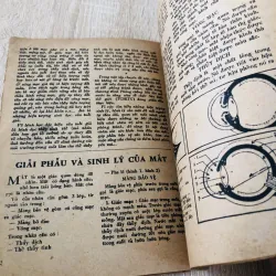 ĐÔI MẮT CỬA SỔ TÂM HỒN  960120