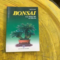 COMBO BONSAI Cây dáng, thế và Non bộ  775779