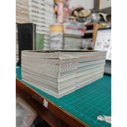 TRUYỆN TRANH HỒ LY LÃNG MẠN - KIM MYUNG MI 386691