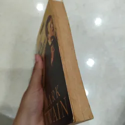 The Adventures of Tom Sawyer 🌱 596125