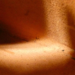 【Vintage】Túi đeo vai Hermes Onimetou PM 310043M 613538