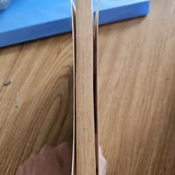 Diary of a Wimpy Kid the ugly truth 20k 654890