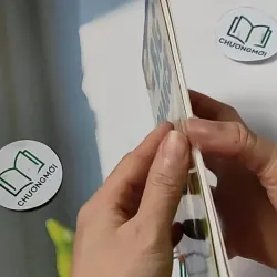 Oxford Reading Tree - Stage 11: TreeTops More Stories A: The Big Chance 703070