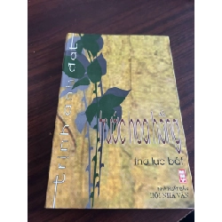 Trước hoa hồng - Trịnh Anh Đạt