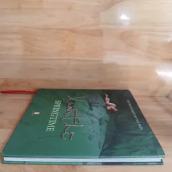 XUÂN THÌ - SPRINGTIME (THÁI PHIÊN) 706740