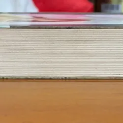 Sự cám dỗ của bá tước. Tác giả Julia Quinn. 800108