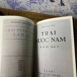 Trai nước Nam làm gì? - Hoàng Đạo Thúy 538857