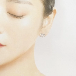 Bông tai hình trái tim lá ô liu Tiffany - Hàng hiệu Authentic 844906