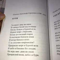 Nắng bạch dương  997407