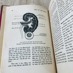 BẢO VỆ SỨC KHỎE  974779