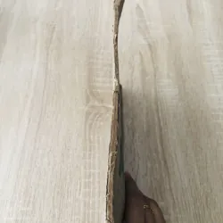 VÙNG ĐẤT BẠC LIÊU - GIAI PHẨM XUÂN 1973 993289