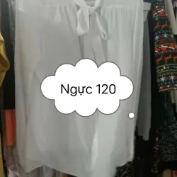 Áo somi voan bigsize, ngực 120 1003716