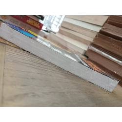 Người lạ trong gương - Sidney Sheldon 335539