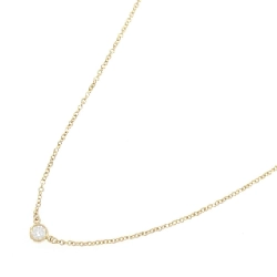 Dây chuyền Tiffany By The Yard - Hàng hiệu Authentic 843426