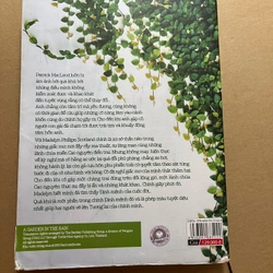 Khu vườn trong mưa 524394