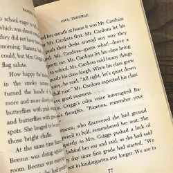 Ramona the Brave 972871