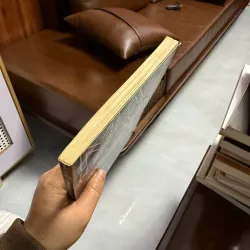 Sách “Tấm Ván Phóng Dao” (Mạc Can) 975552