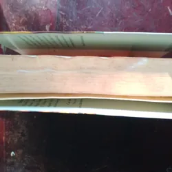 Hoa nở giữa tháng năm cô đơn 720310