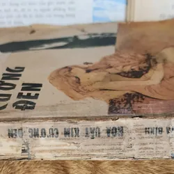 Alexandre Dumas cha - HOA UẤT KIM CƯƠNG ĐEN 703486