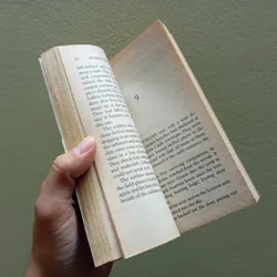 Hannibal rising, sách ngoại văn tiếng Anh, english book, tiểu thuyết  599907