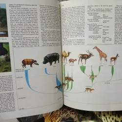 ENCYCLOPEDIA OF THE ANIMAL WORLD - BÁCH KHOA TOÀN THƯ VỀ THẾ GIỚI ĐỘNG VẬT (21 TẬP) 575435