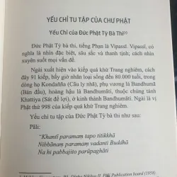 Yếu Chỉ Tu Tập Và Hành Đạo - Thích Thái Hòa mới 90% 736839