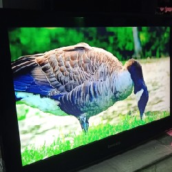 [Tivi Samsung 32" LCD Phụ kiện đầy đủ ] Tivi Samsung 32" Thanh Lý 6235