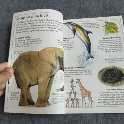 ĐỘNG VẬT CÓ VÚ 559729