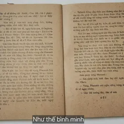 Tiểu thuyết NHƯ THẾ BÌNH MINH - Tác giả: Emmanuen Roblex 719049