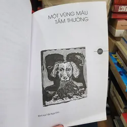 Combo 5 tựa Sơn Nam bìa cứng 755657