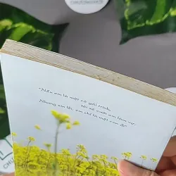 Xin Lỗi, Em Chỉ Là Con Đĩ - Tào Đình 604598