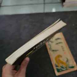 Hồ ly tiên- huỳnh ngọc chênh 736993