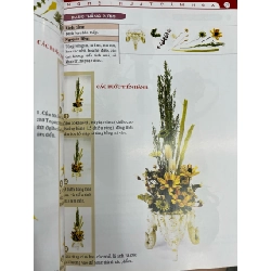 Nghệ thuật cắm hoa khô - Quý Long 711780