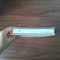 Thư pháp chữ việt 521346