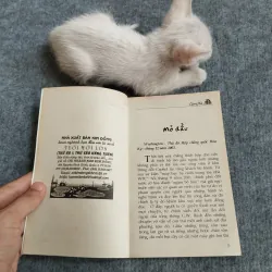MẬT SỨ - LÂM HÀ 567801