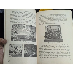 Hoa đạo - George Ohsawa 330745