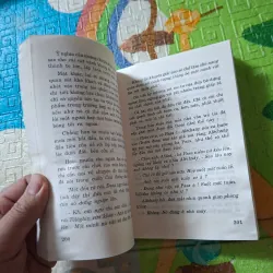 Bông Hồng Vàng 976118