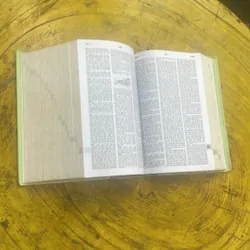 TỪ ĐIỂN ANH - VIỆT - ENGLISH- VIETNAMESE DICTIONARY  699413