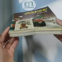 Bonsai: Cây dáng, thế và non bộ - Đỗ Hiệp 694948