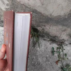 Nhân vật chí Quảng Trị ( Người Quảng Trị ) 1036782