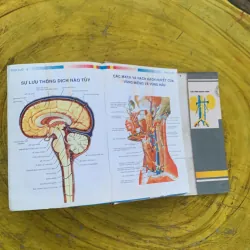 TỪ ĐIỂN Y HỌC ANH - VIỆT  nhà xuất bản từ điển Bách Khoa 790404