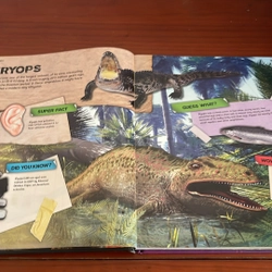 PICTURE BOOK Dinosaurs 534291
