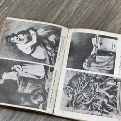 Một số nền mỹ thuật thế giới 713036