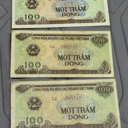 100 đồng chùa Phổ Minh-1991