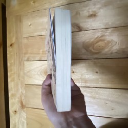 Tuổi 20 tôi đã sống như một bông hoa dại - Trang xtd - Sách 20330